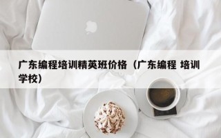广东编程培训精英班价格（广东编程 培训 学校）
