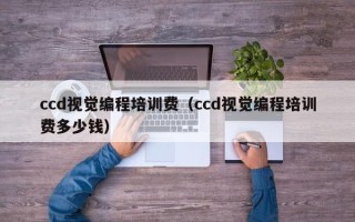 ccd视觉编程培训费（ccd视觉编程培训费多少钱）