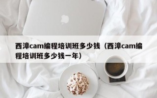西漳cam编程培训班多少钱（西漳cam编程培训班多少钱一年）