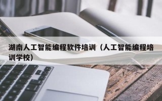 湖南人工智能编程软件培训（人工智能编程培训学校）