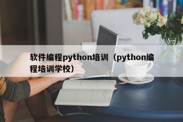 软件编程python培训（python编程培训学校）-第1张图片